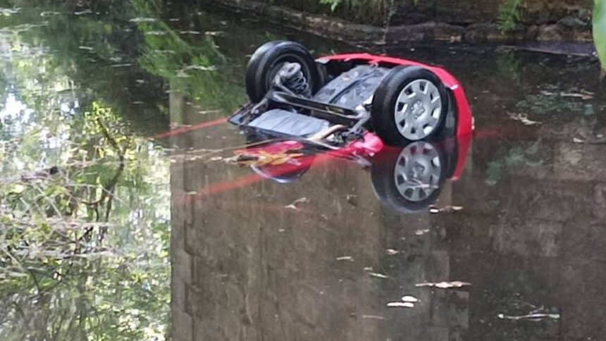 Muere famosa actriz tras caer a bordo de su autómovil en un río