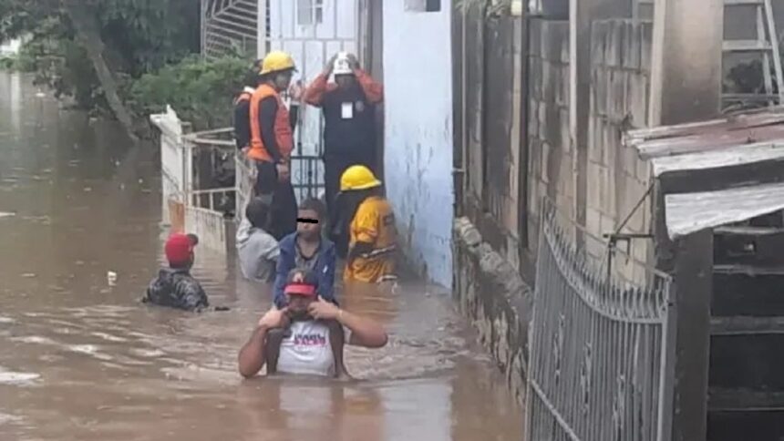 afectadas