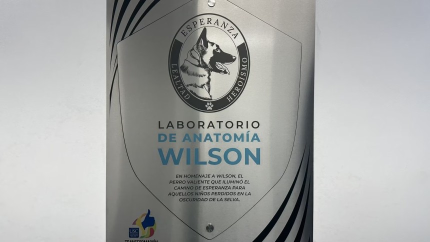 Rinden merecido homenaje a Wilson, el perro que ayudó a localizar a los niños perdidos en selva colombiana