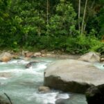 Joven murió tras lanzarse de clavado desde lo alto de unas rocas en el pozo de un balneario