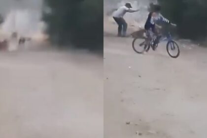 Buscan al desalmado del video viral, mató un perrito a golpes en calle de Barquisimeto