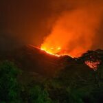 Más de 9.000 incendios forestales se han registrado enero y febrero de este mismo año, esas son algunas de las cifras manejadas por NASA