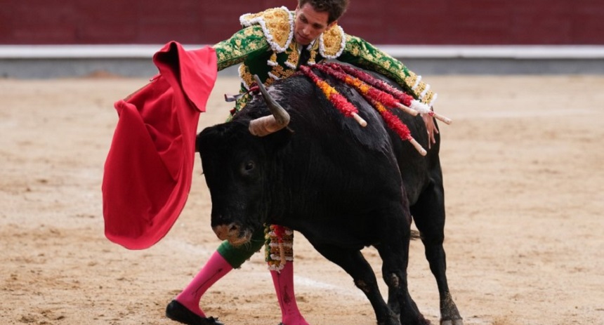 toros