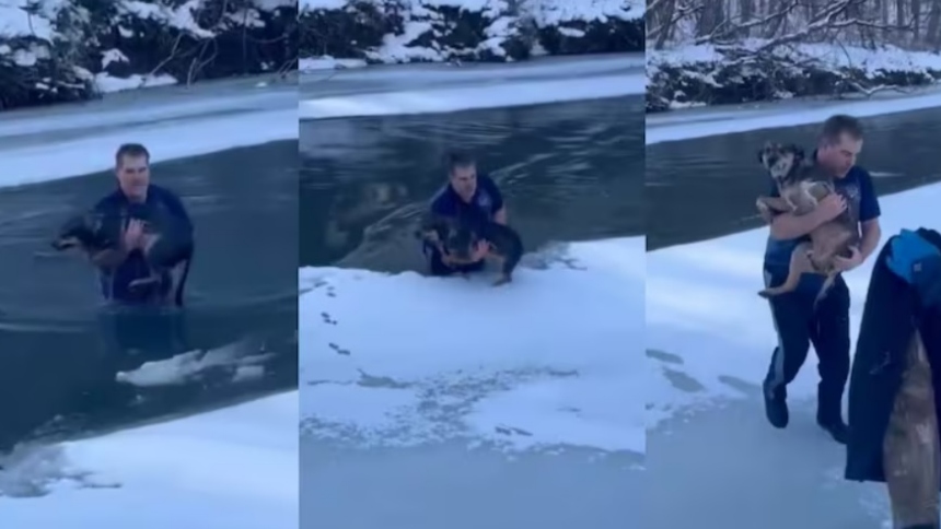 En un mundo cada vez más acelerado, donde las noticias negativas parecen dominar los titulares, historias como la de Chris MacRitchie recordó existencia de la bondad y la compasión humanas tras salvar a un perrito que cayó a un río helado.  