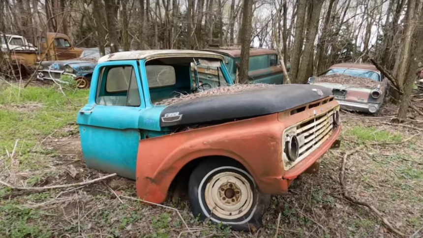 Un hombre estadounidense realizó un sorprendente descubrimiento tras adquirir una granja abandonada: el terreno estaba lleno de coches clásicos olvidados durante décadas.