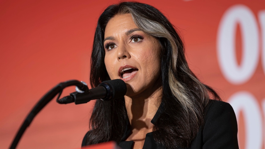 La directora de Inteligencia Nacional, Tulsi Gabbard, despidió a los dos principales funcionarios del Consejo Nacional de Inteligencia (NIC, por sus siglas en inglés) por desmentir vínculo entre Nicolás Maduro y el Tren de Aragua. 