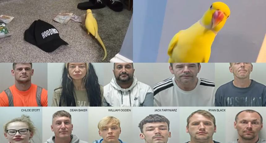 Loro